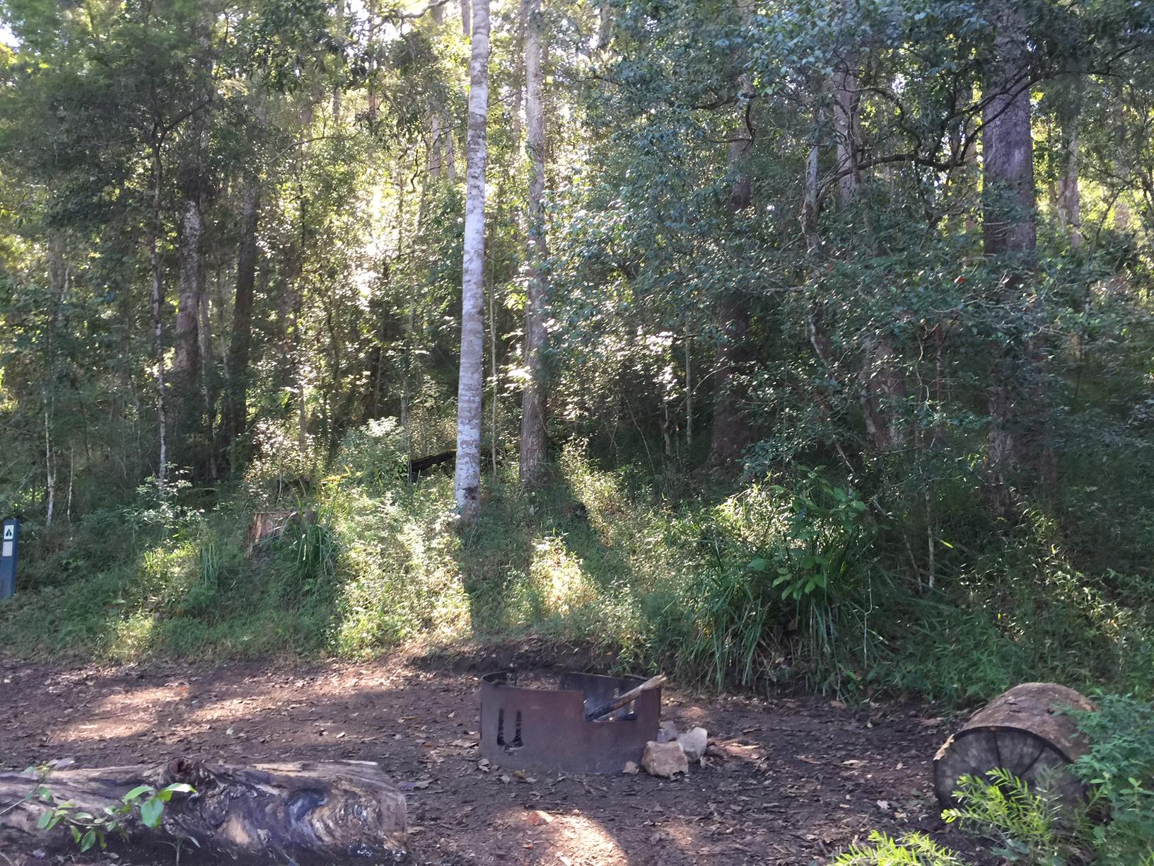 Mapleton National Park Gheerulla Full Loop Hike Adventure Sunshine Coast